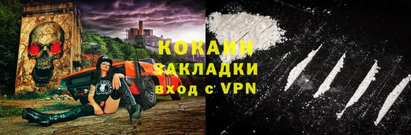 стаф Алзамай